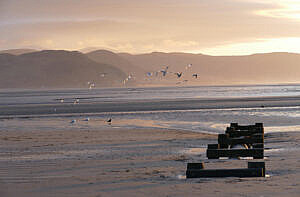 West Shore